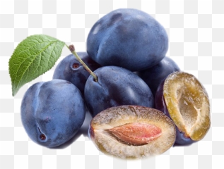 Plum Transparent Images Png Play - Prune Plum,Plum Png