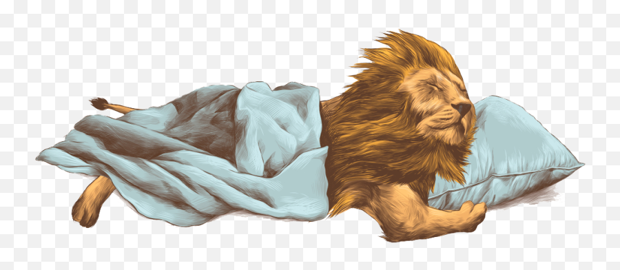 Download Lion Png - Lion Sleeping Cartoon Png Image With No Blanket And Pillow Drawing,Lion Png Transparent