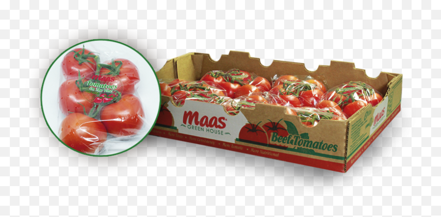 Download Tomatoes - Cherry Tomatoes Png Image Cardboard Packaging,Tomatoes Png