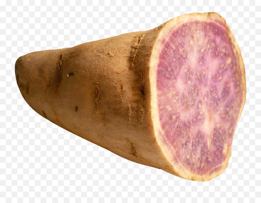 Sweet Potato Yam Png Image - Pngpix Yam Png,Sweet Potato Png