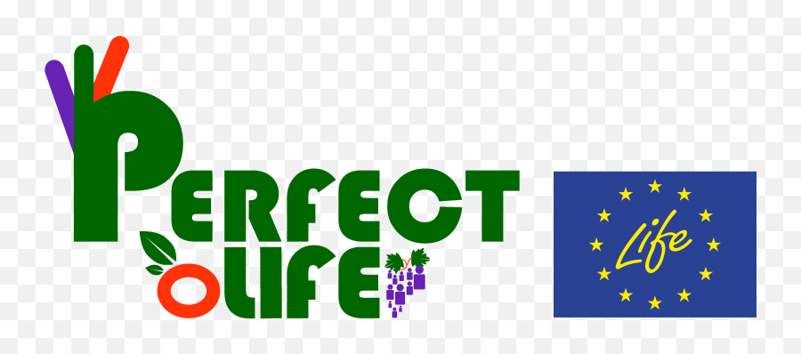 Perfect Life - Perfect Logo Png,Life Png