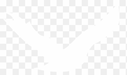Home - Merck Forest U0026 Farmland Center Automotive Decal Png,Merck Logo Png