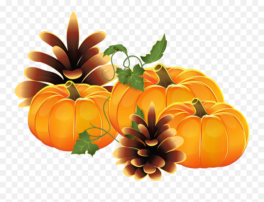 Pumpkin Png - Pumpkin Patch Graphic,Thanksgiving Pumpkin Png