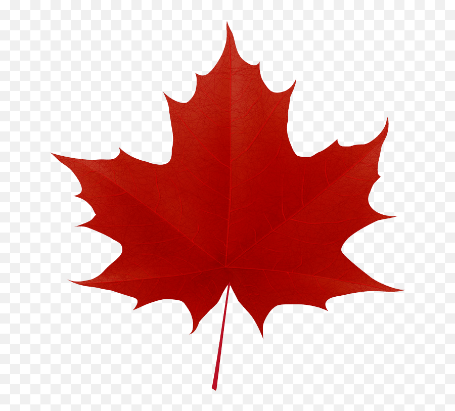 Leaf Clipart - Clipartworld Clipart Canada Maple Leaf Png,Banana Leaves Png