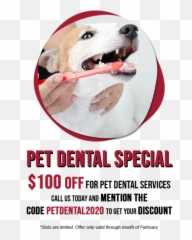 Veterinarian Png And Vectors For Free - Dog Yawns,Veterinarian Png