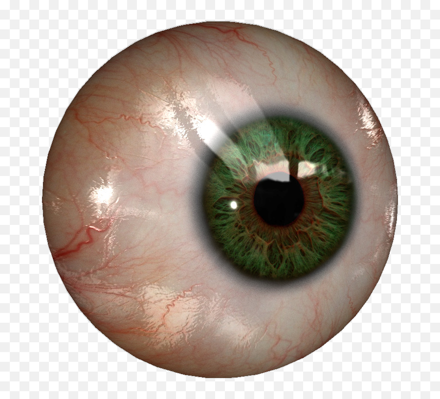 Eye - Real Eye Png,Eye Transparent