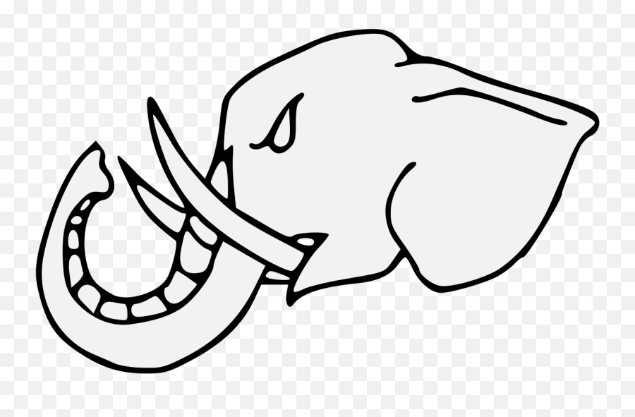 Elephant - Drawing Cartoon Head Elephant Png,Elephant Head Png