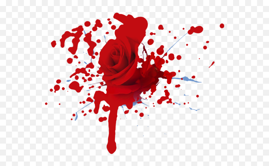 Paint Splatter Drawing - Rose With Blood Png,Paint Splat Png