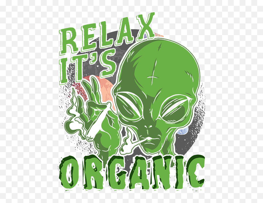 Marijuana Pothead Stoner Leaves Herbal Medicine Legalization Cannabis Leaf Gift Relax Its Organic Fleece Blanket - Fictional Character Png,Stoner Icon