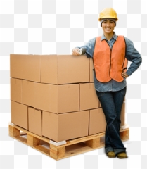 Warehouse Worker - Employee Png