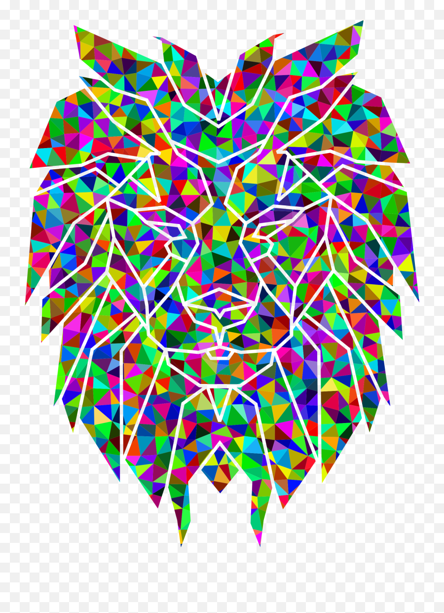 Lionhead Rabbit Color Tiger T - Shirt Spreadshirt Cara De Leon Geometrico Png,Spreadshirt Icon