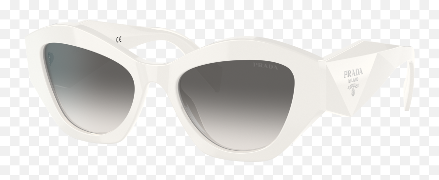 Sunglass Hut Online Store Sunglasses For Women U0026 Men - Full Rim Png,Oakley Small Icon Backpack Black