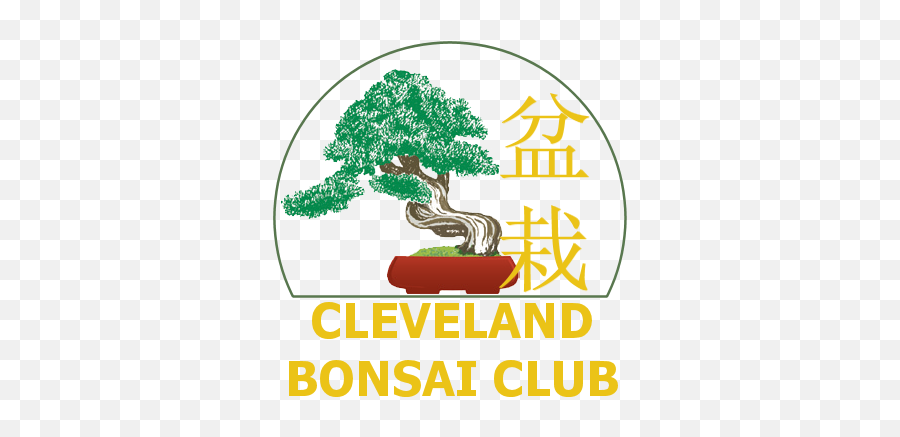 Cleveland Bonsai Club Summer Show Rockefeller Park - Tree Png,Bonsai Tree Png