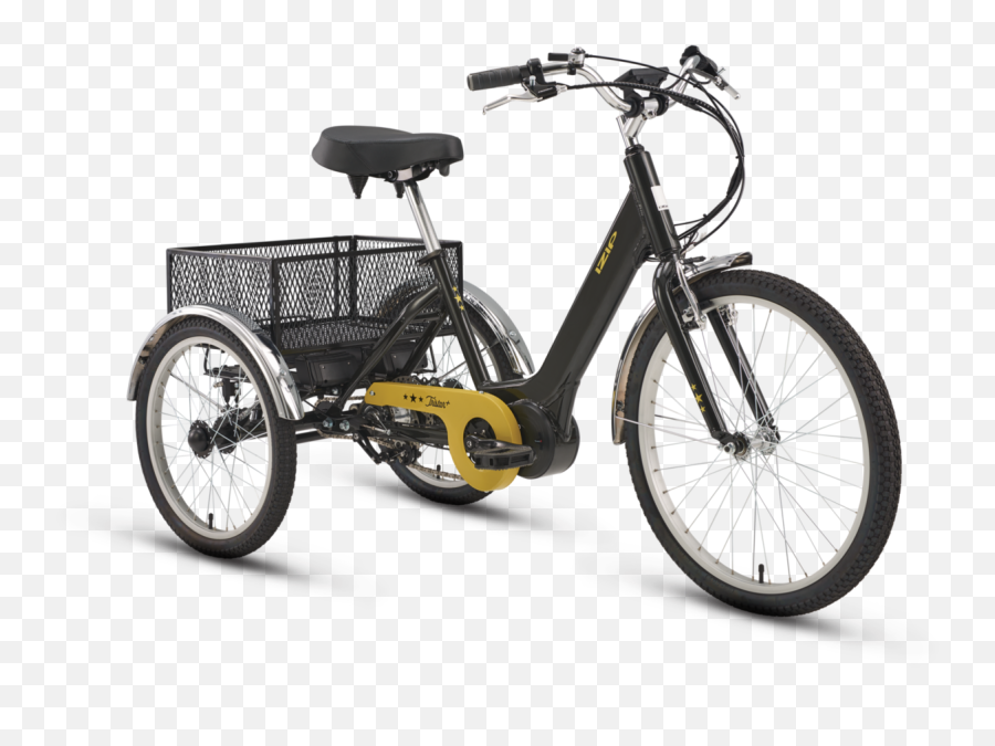 Tristar Plus - Adult Tricycle Izip Tristar Png,Raleigh Icon Bike