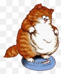 Yellow Cat Emoji - Personne Qui A Trop Manger png
