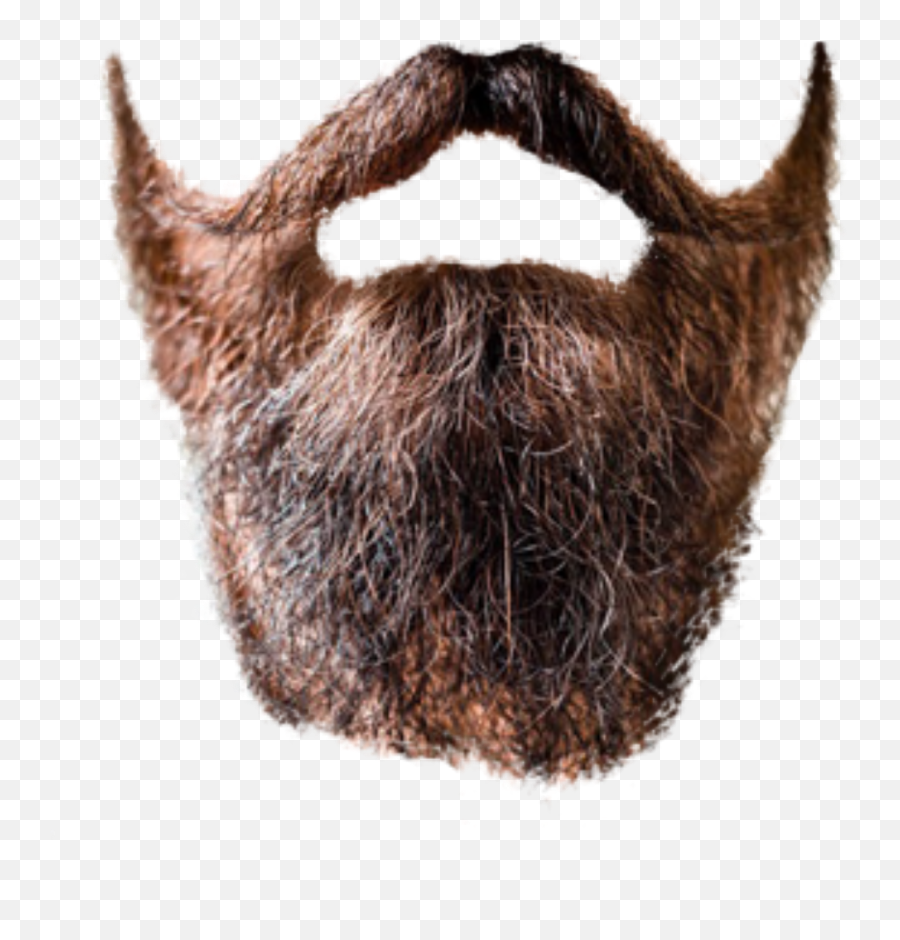 Beard Transparent - Beard Png Transparent,Beard Transparent Background