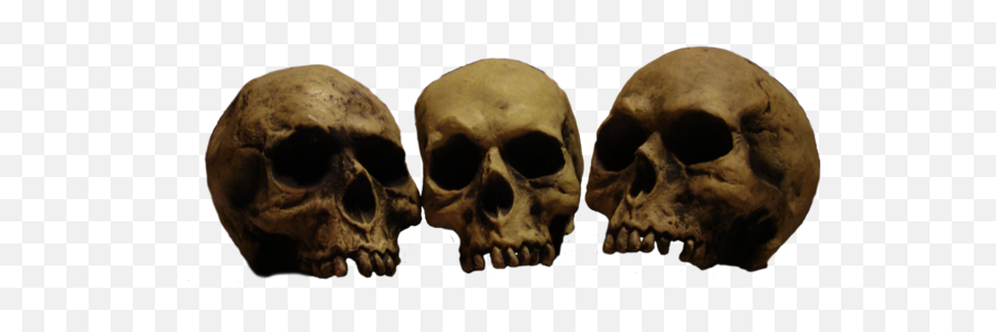 Skulls Png 6 Image - Skulls Pngs,Transparent Skulls