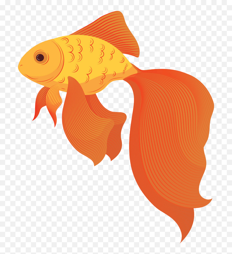 Goldfish Clipart Transparent 2 - Clipart World Dibujos De Pez Dorado Png,Goldfish Icon