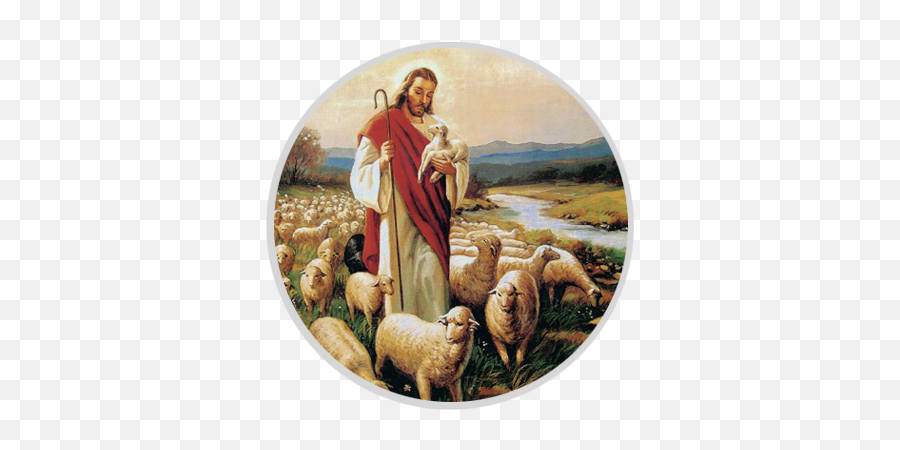 Catechism U2013 St Jude Syro Malabar Catholic Church - Jesus With Sheep Png,Jesus Good Shepherd Icon