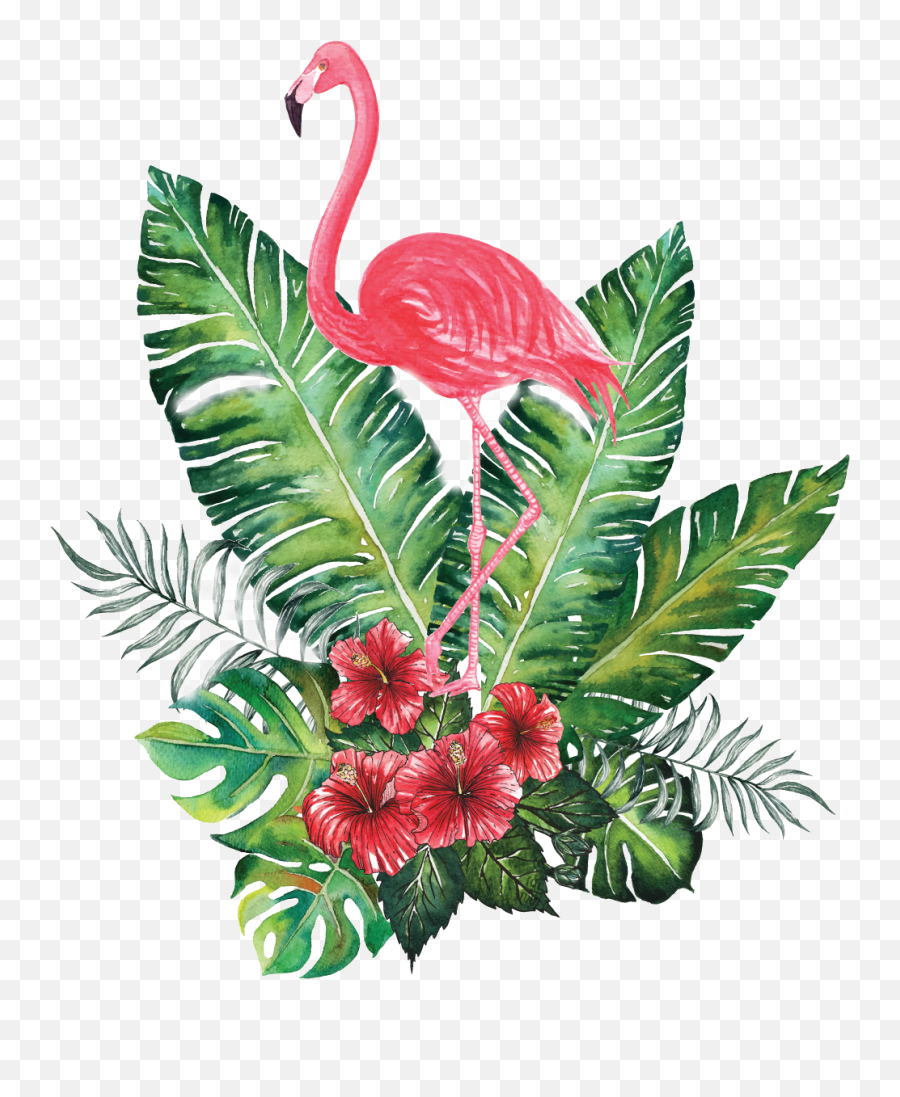 Green Flower Crown Png - Flamingo Tropic 1065888 Png Transparent Background Flamingo Png,Flamingo Logo