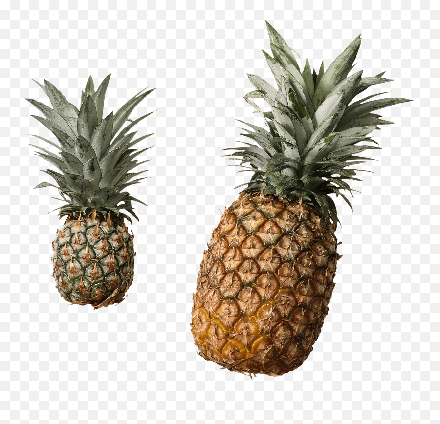Cut Pineapple Transparent Png - Stickpng Does A Good Pineapple Look Like,Pineapple Clipart Png
