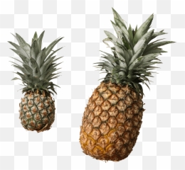 Cut Pineapple Transparent Png - Stickpng Does A Good Pineapple Look Like,Pineapple Clipart Png