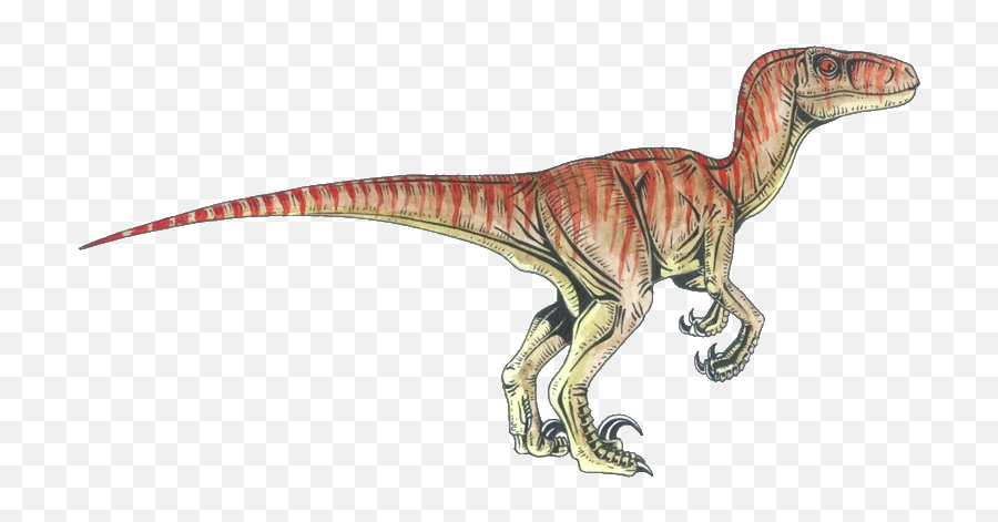 Download Velociraptor Tyrannosaurus Deinonychus Dinosaur Png - Raptors Dinosaurs,Dinosaur Png