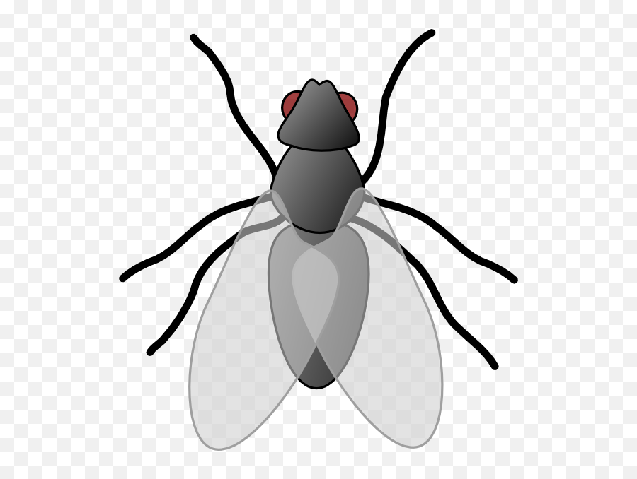 Fly Clip Art - Mantis Cartoon Cliparts Png Download 564 Insect Clip Art,Mantis Png