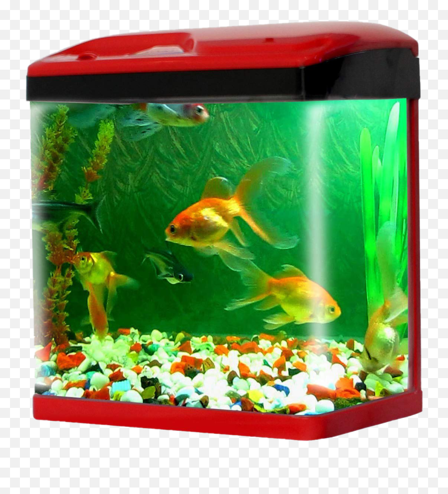 Aquarium Fish Tank Png Transparent Images All - Aquarium Fish Tank Price,Fish Png Transparent