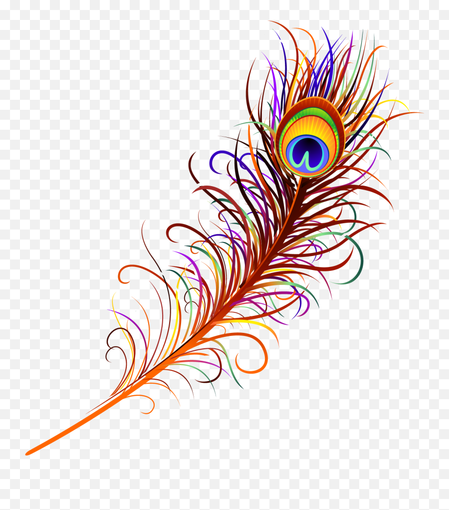 Peacock Feather Free Png Image - Peacock Feather Png Free,Peacock Png