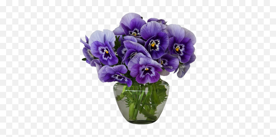 Violets Png And Vectors For Free - Flowers In Vase Transparent Background Png,Violets Png