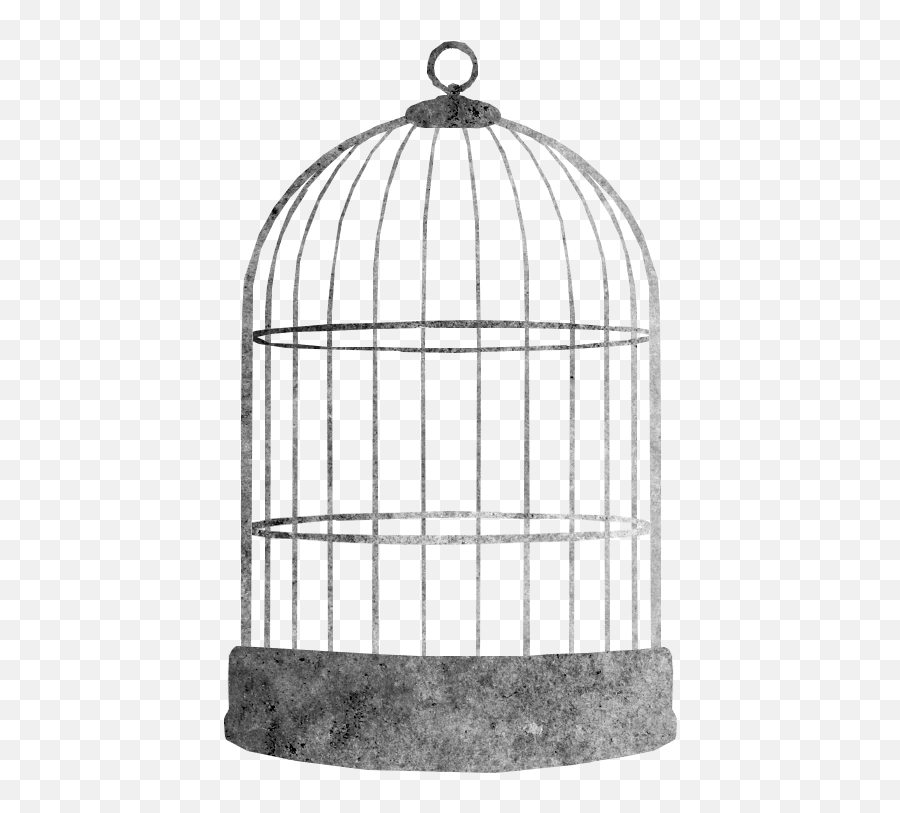 Bird Cage - Bird Cage Png Clipart,Bird Cage Png