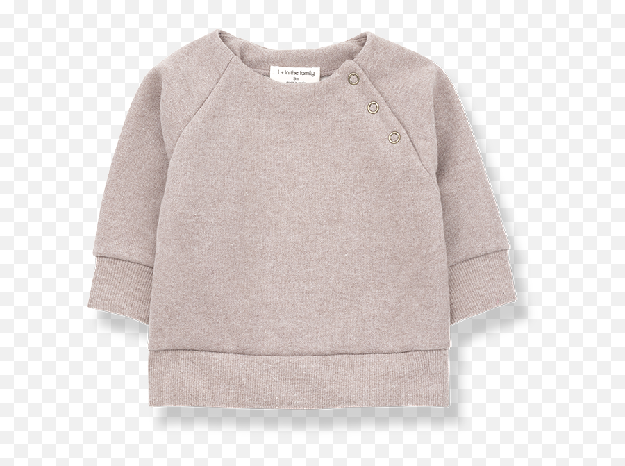1 In The Family Mandy Sweatshirt Rose - Sweater Png,Mandy Rose Png