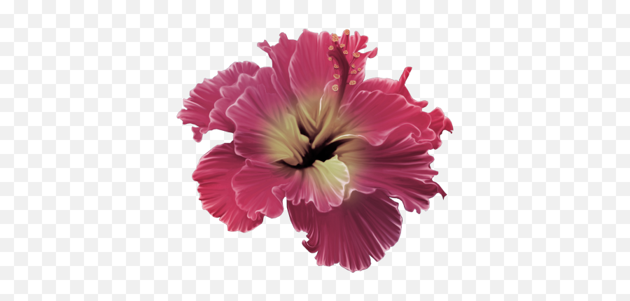 Read It - Red Tropical Flower Png Full Size Png Download Flores Tropicales Png,Tropical Flower Png