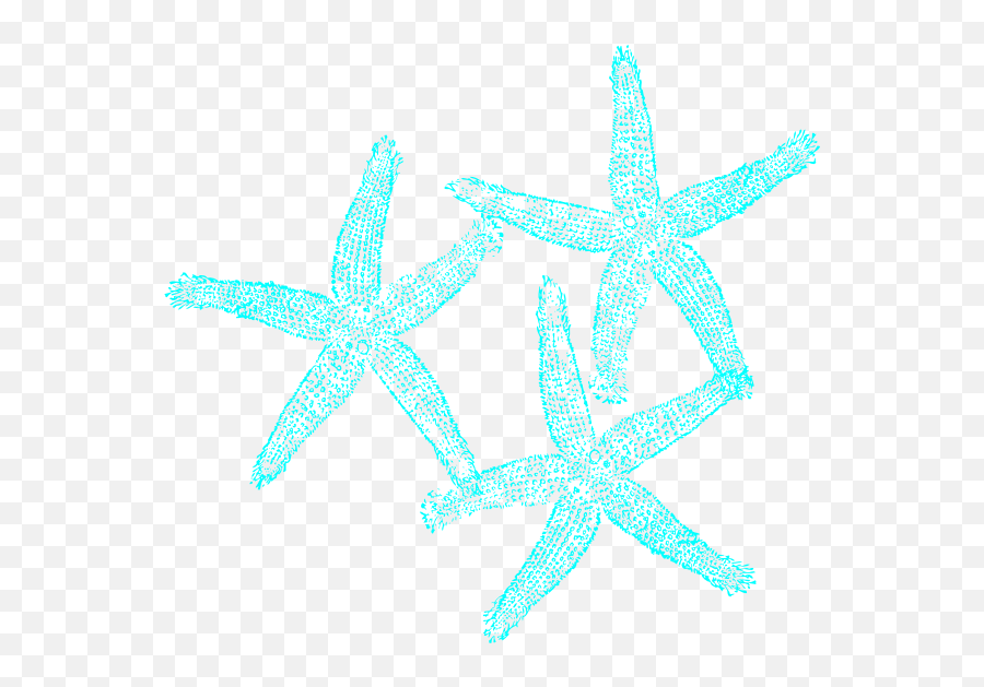 Coral And Turquoise Starfish Clip Art - Vector Fish Clip Art Png,Starfish Transparent Background