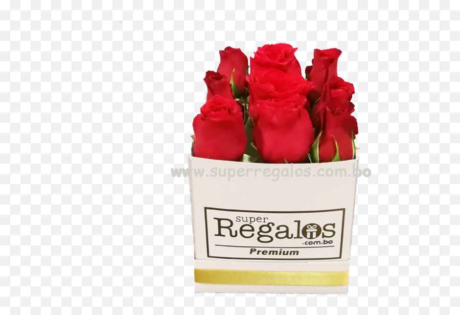 Caja Cuadrada Con 9 Rosas Rojas Png