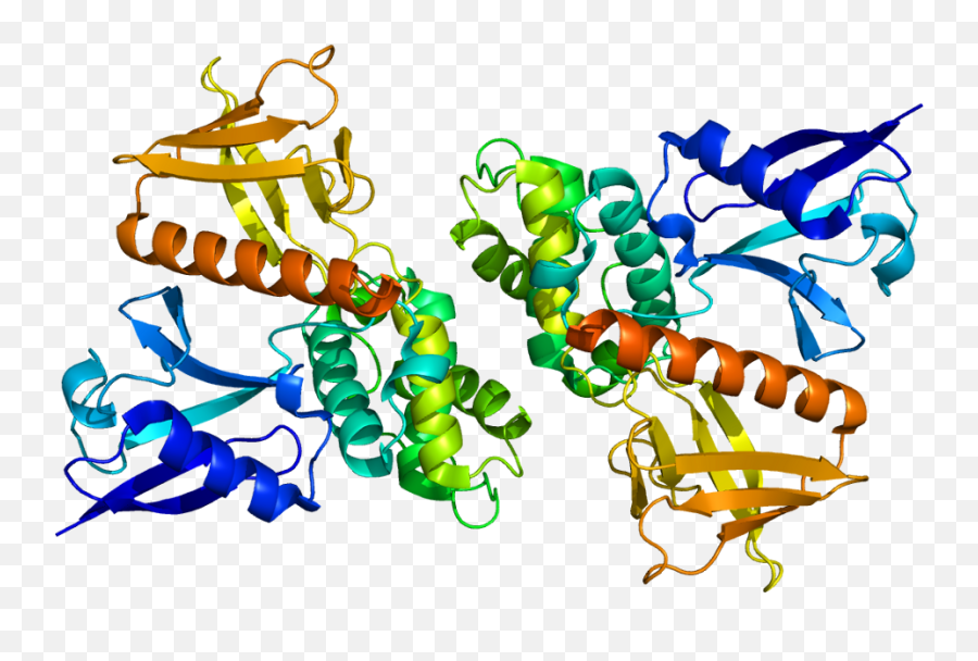 Merlin - Nf2 Protein Structure Png,Merlin Png