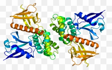 Merlin - Nf2 Protein Structure Png,Merlin Png