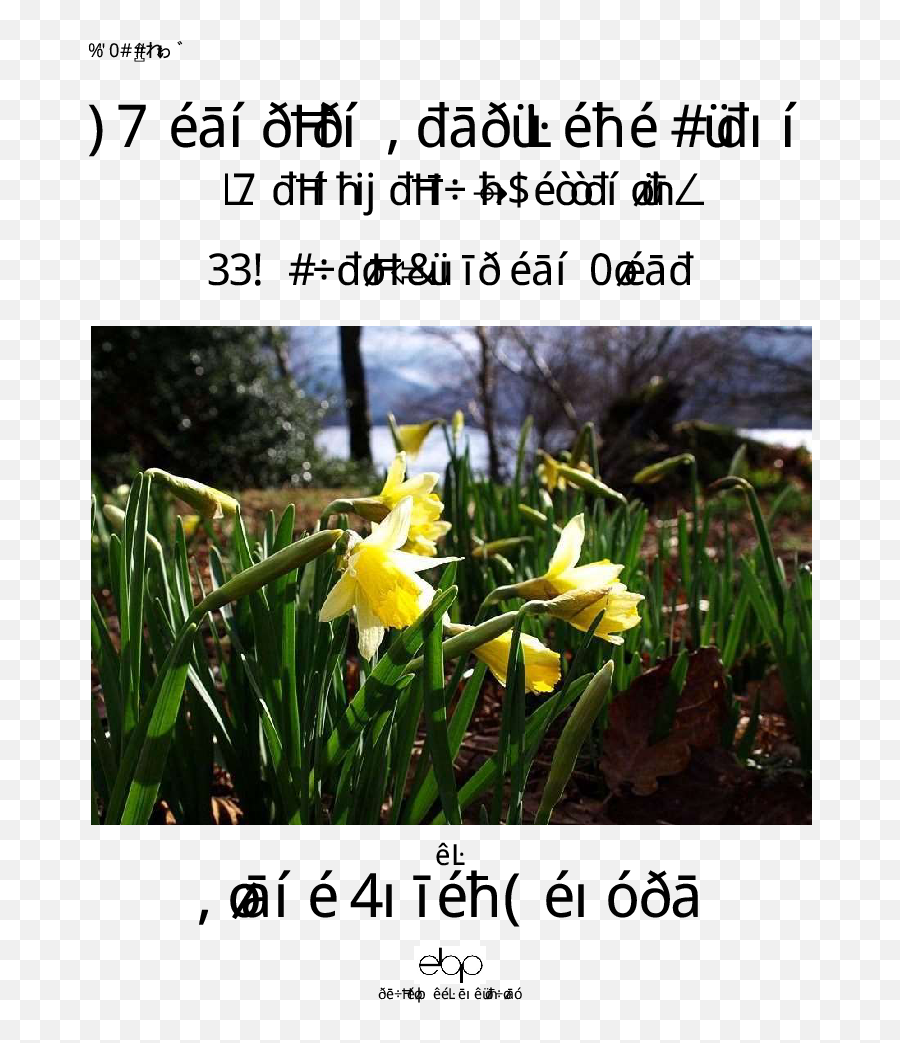 I Wandered Lonely As A Cloud Ssa By Linda Jw Pepper - Photo Caption Png,Daffodil Icon