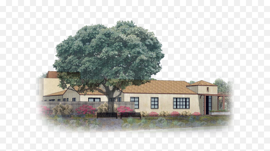 Portello - New Homes In Windsor California Lots Community Oak Tree Jpg High Quality Png,Icon Of Cottage House