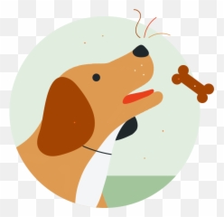 Covered Insurance Marketplace Pet - Dog png