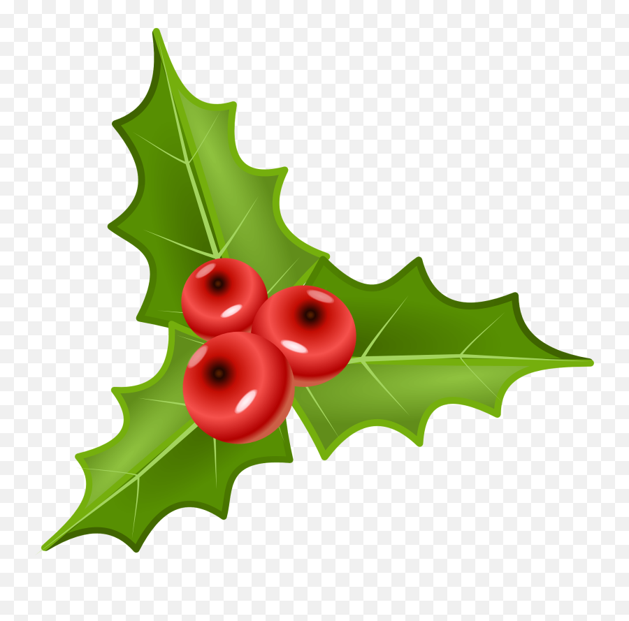 Holly Plant Green - Holly Berry Clipart Png,Holly Png
