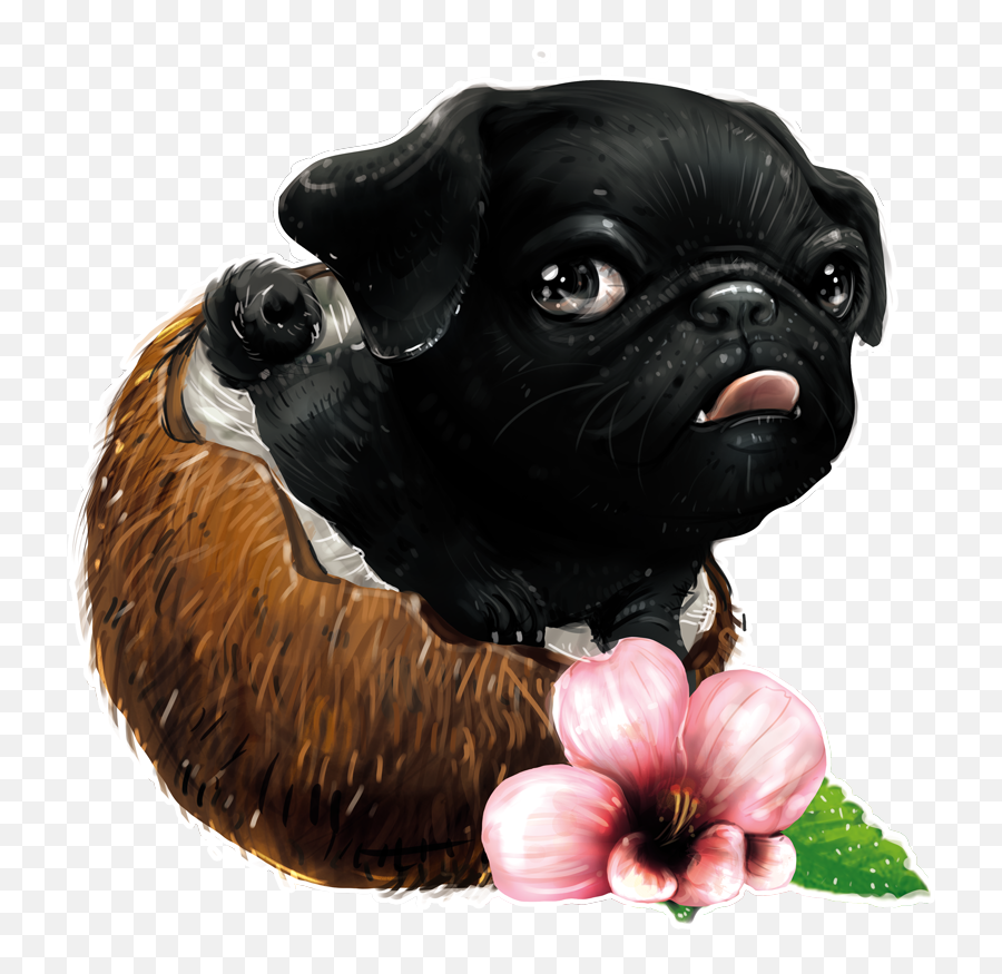 Pug Life Png - Cute Pugs Art Pug Art Cute Pugs Pug Life Imagenes De Pugs Kawaii,Pug Face Png