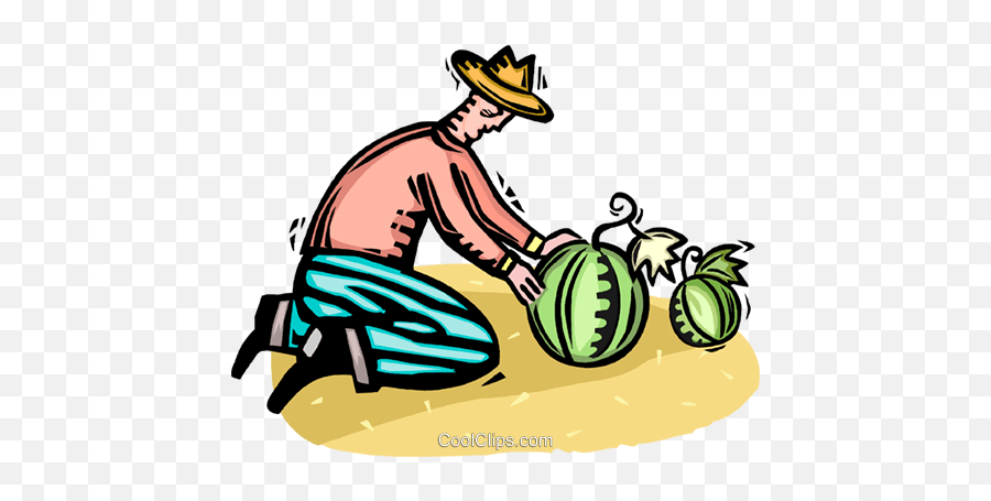 Farmer Tending To His Watermelons Royalty Free Vector Clip - Farmer Pulling Watermelon Clipart Png,Watermelon Png Clipart