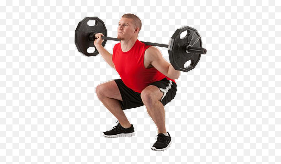 Weightlifter Png Hd Transparent Weightli 1118085 - Png Weight Lifting Png,Weights Transparent