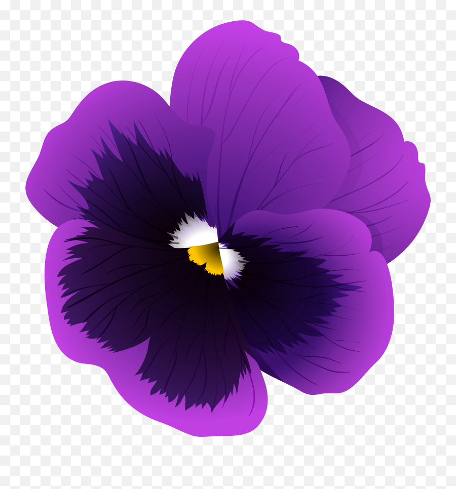 Clipart Flowers Violet - Pansy Png,Violets Png