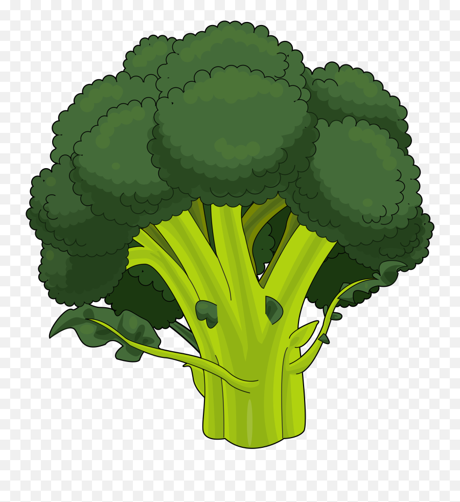 Brocoli Dibujo Png - Broccoli Drawing Png,Brocoli Png