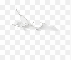 Download Milk Splash - White Cream Png