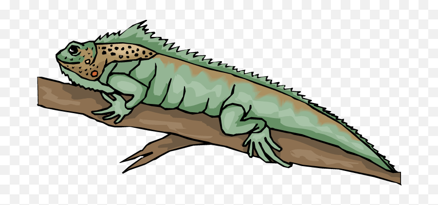 Download Iguana Clipart - Bearded Dragon Lizard Clipart Png Iguana On Tree Clipart,Bearded Dragon Png