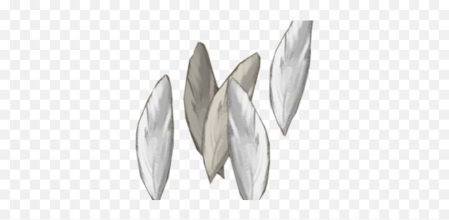 Silverhawk Feathers Runescape Wiki Fandom - Acianthera Pectinata Png,Feathers Transparent